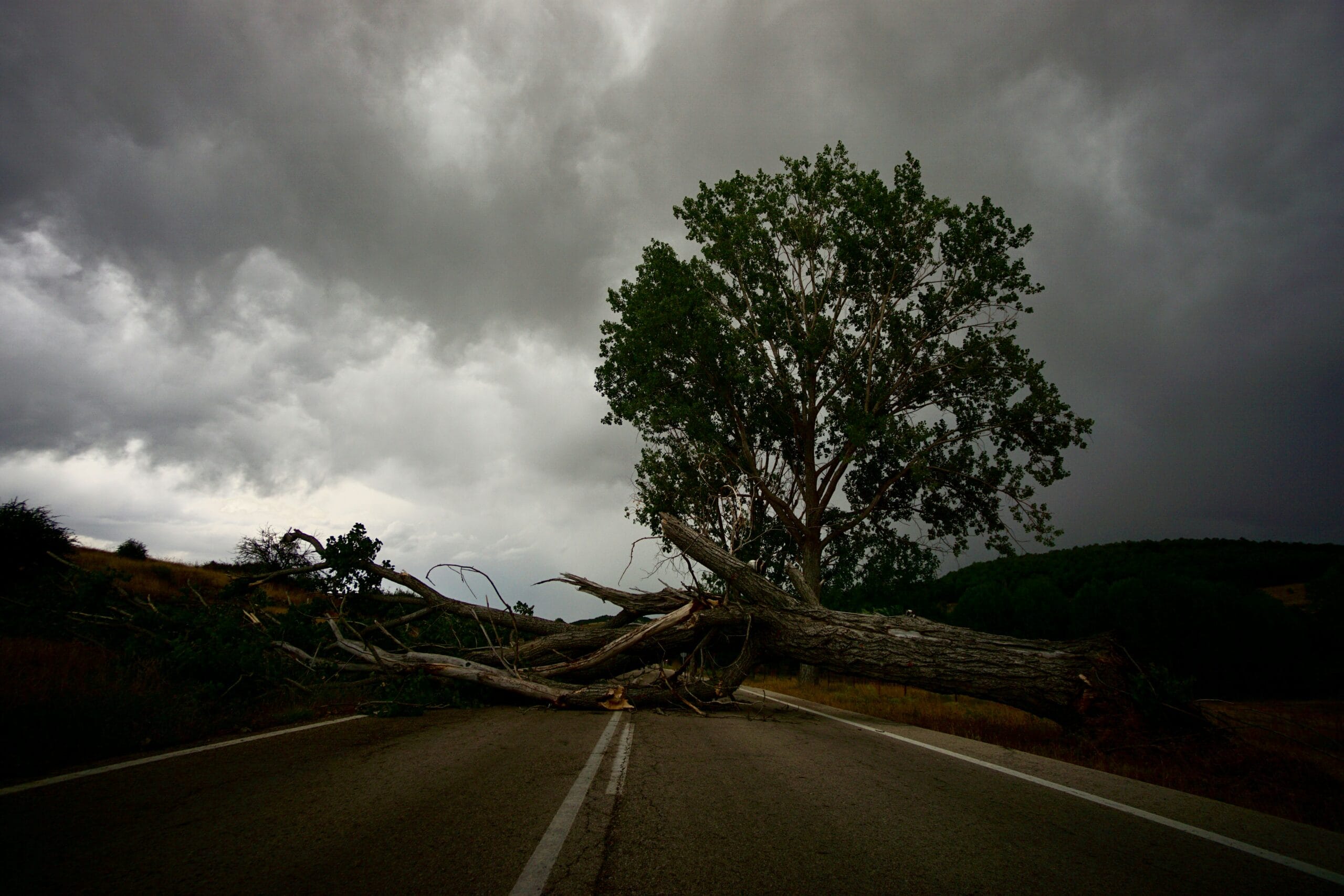 Gran árbol caído bloqueando completamente una carretera asfaltada de dos carriles, con ramas rotas esparcidas, bajo un cielo oscuro y tormentoso lleno de nubes grises.