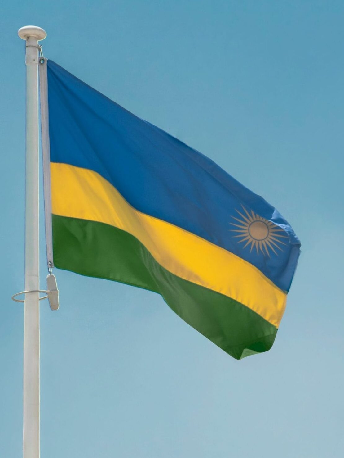 Hotel Rwanda: Película, Historia Real del Genocidio y Valentía